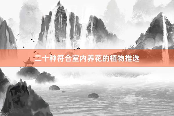 二十种符合室内养花的植物推选